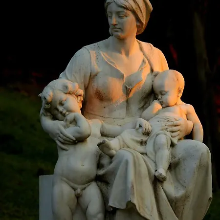 فندق Neptun بريوني