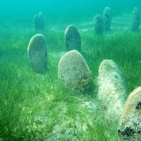 Neptun 3* בריוני