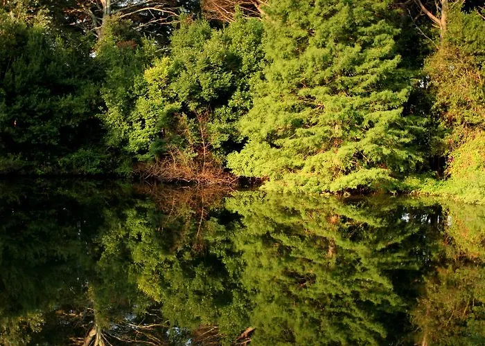 Neptun מלון בריוני