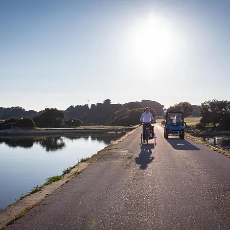 酒店 Neptun 布里俄尼