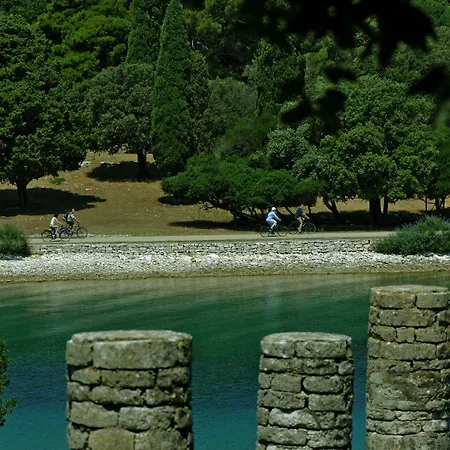 Neptun