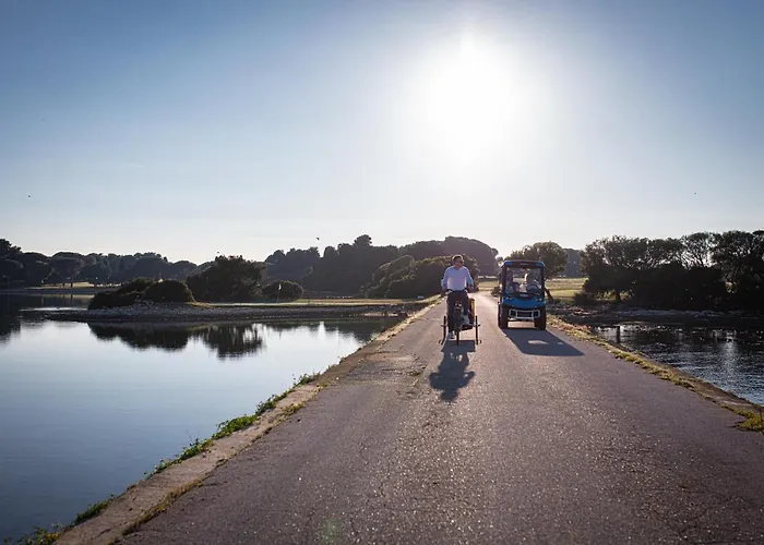 酒店 Neptun 布里俄尼
